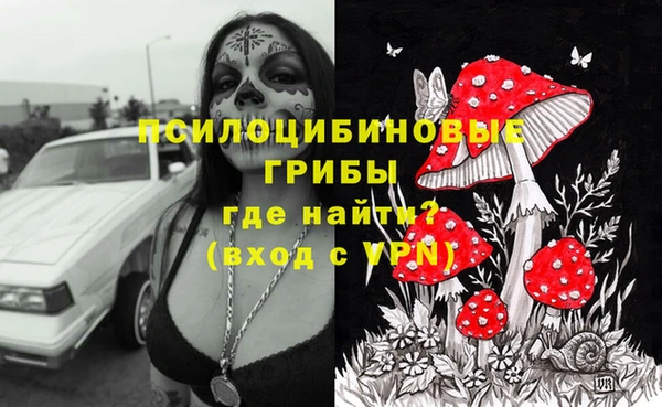 эйфоретик Балахна