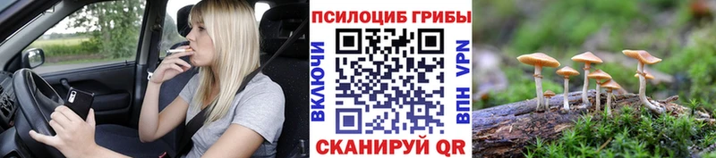Галлюциногенные грибы мухоморы  Бирюч 